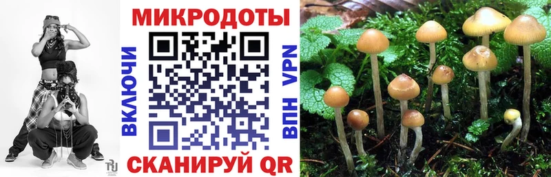 hydra маркетплейс  Верхний Тагил  Галлюциногенные грибы Psilocybe 